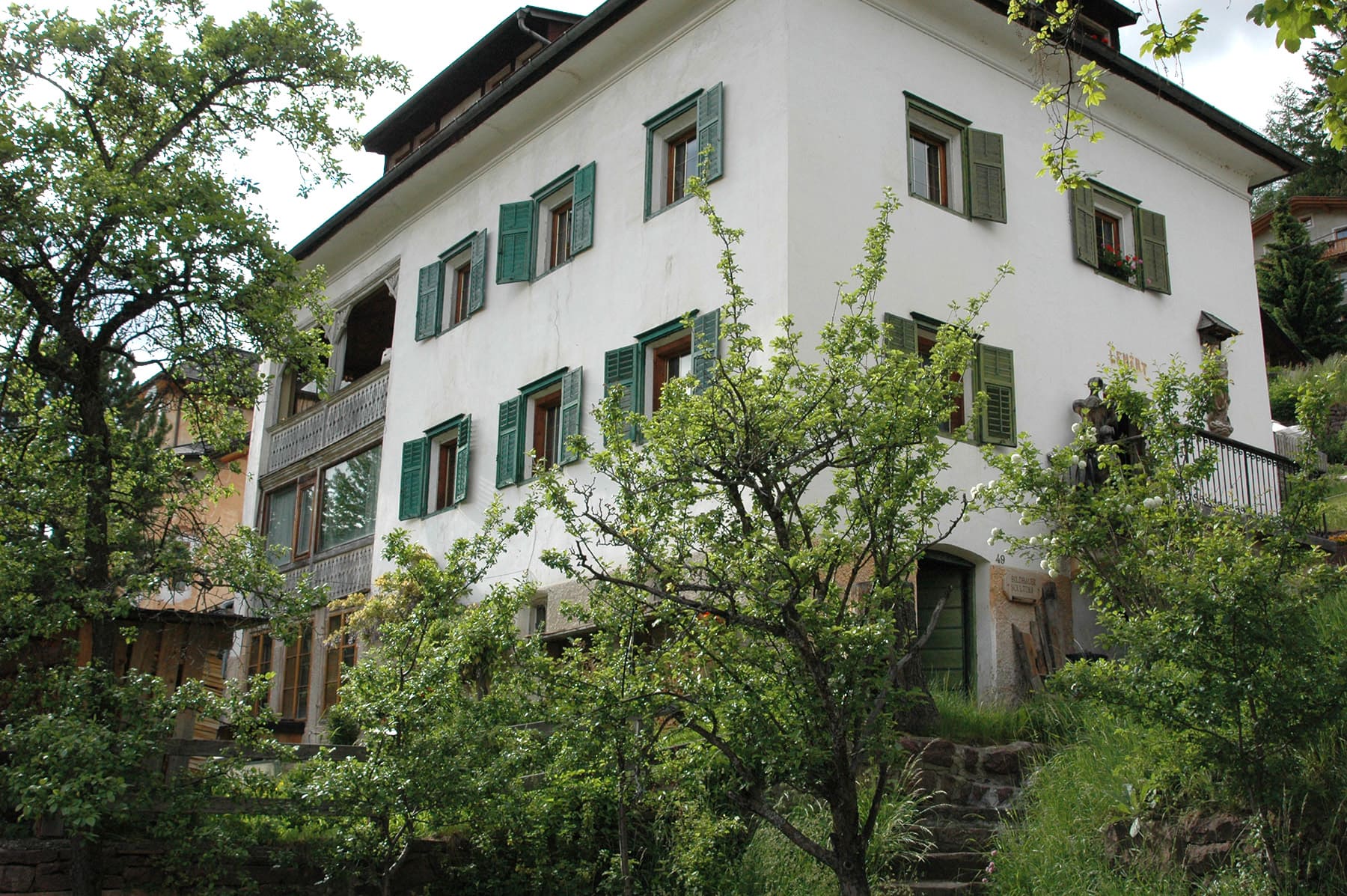 Foto von Haus Lenert aus tiefer Perspektive und Pflanzen davor, 2006.