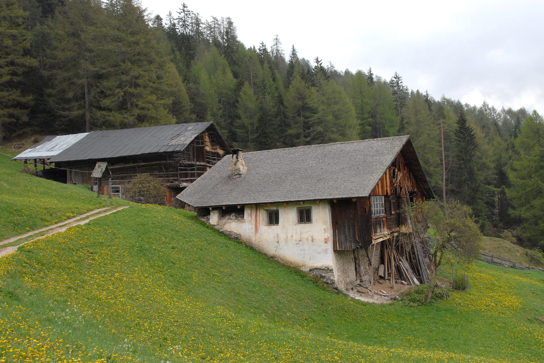 Paarhof Peza in St. Jakob 