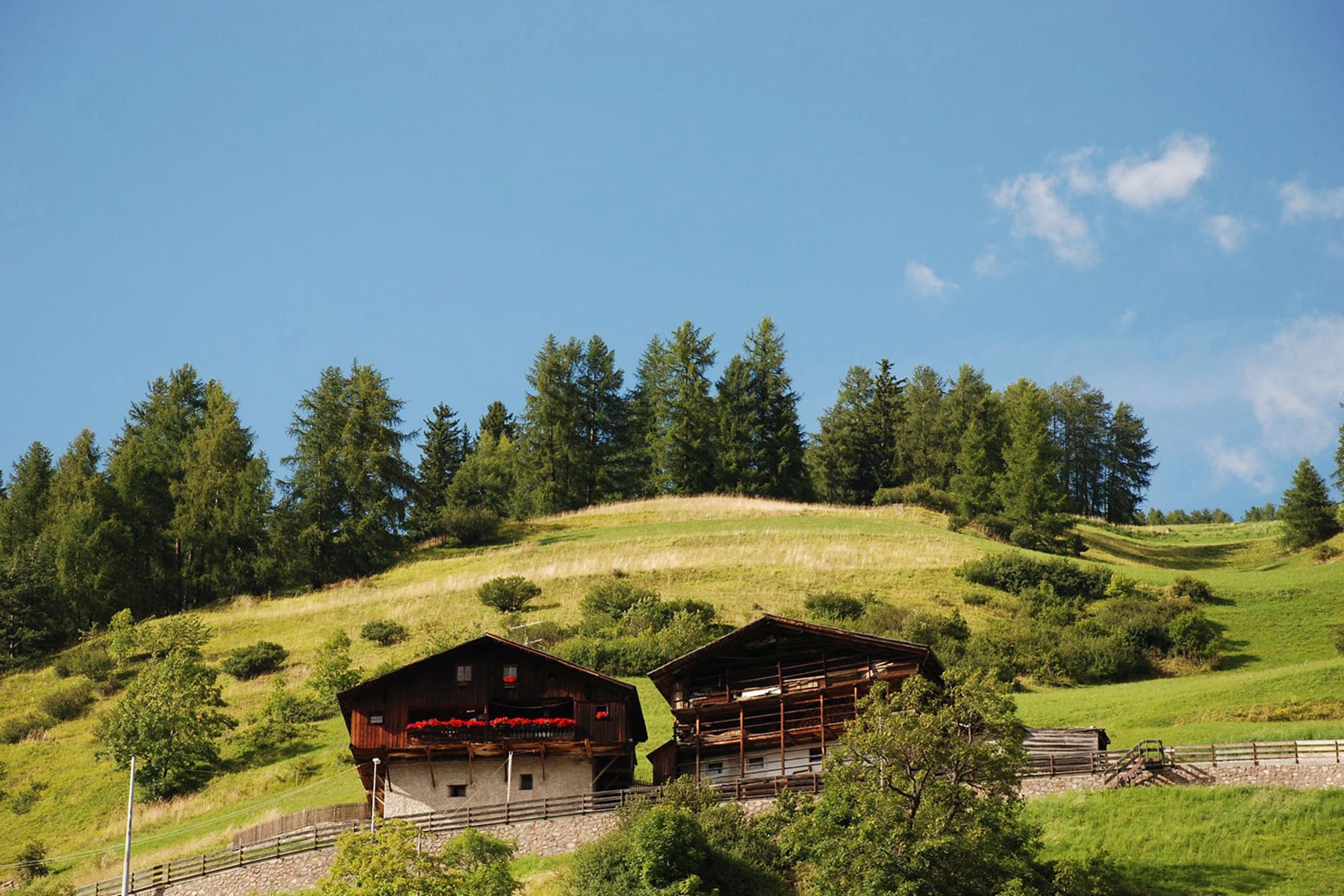 Der Paarhof Crëpa liegt am Waldrand, auf den steilen Wiesen von Plesdinaz
