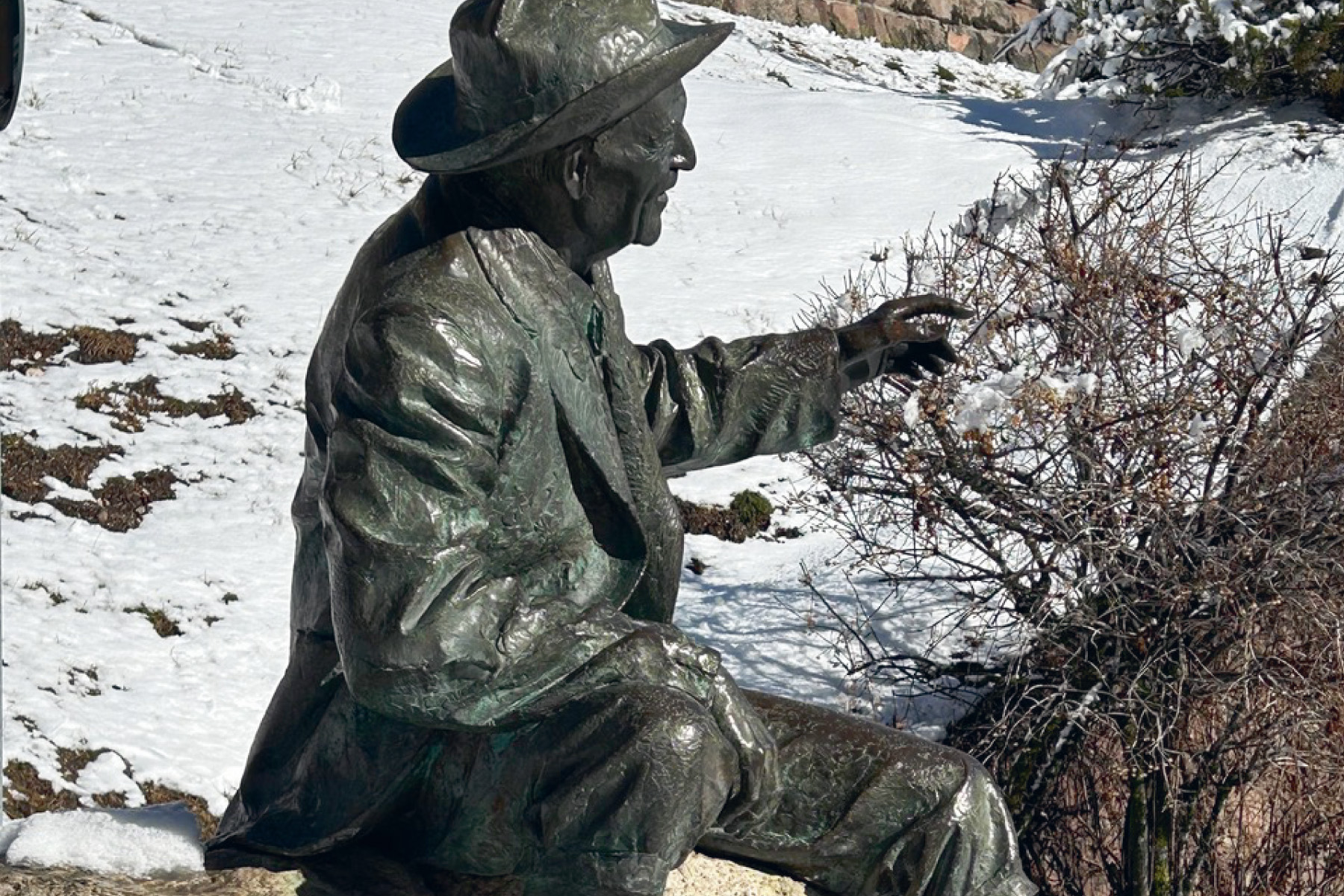 Aktuelle Aufnahme, Ausschnitt