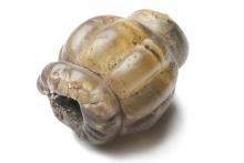 Glasperle, 8-fach gerippt, 200 – 15.v. Chr.